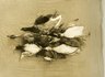 Brooklyn Museum: Beach Haven: the great seashore opportunity. Views of Beach Haven.