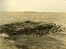 Brooklyn Museum: Beach Haven: the great seashore opportunity. Views of Beach Haven.