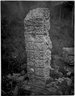 Brooklyn Museum: Collection of photographs by Alfred P. Maudslay, 1883-1890.