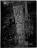 Brooklyn Museum: Collection of photographs by Alfred P. Maudslay, 1883-1890.
