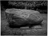 Brooklyn Museum: Collection of photographs by Alfred P. Maudslay, 1883-1890.