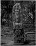 Brooklyn Museum: Collection of photographs by Alfred P. Maudslay, 1883-1890.