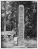 Brooklyn Museum: Collection of photographs by Alfred P. Maudslay, 1883-1890.