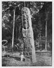 Brooklyn Museum: Collection of photographs by Alfred P. Maudslay, 1883-1890.