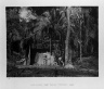 Brooklyn Museum: Collection of photographs by Alfred P. Maudslay, 1883-1890.