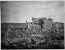 Brooklyn Museum: Collection of photographs by Alfred P. Maudslay, 1883-1890.