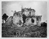 Brooklyn Museum: Collection of photographs by Alfred P. Maudslay, 1883-1890.