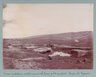 Brooklyn Museum: Mission scientifique française en Amérique du sud : travaux et fouilles de Tiahuanaco 1903.
