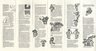 Brooklyn Museum: The Paracas textile : [exhibition], The Brooklyn Museum / [drawings and text by Lois Martin]. Also issued in Spanish under the title El Manto de Paracas; Spanish text by Lois Martin and Suzy Suárez.