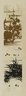 Brooklyn Museum: Hana shishu / [chosha Kawarazaki Kodo]. Classical patterns for dyeing.