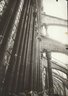 Brooklyn Museum: Research & writings [2.1.029]: Architects Society of Rome exhibition catalog.