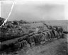 Brooklyn Museum: Visual materials [6.1.001]: 1895 survey expedition photographs.