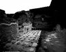 Brooklyn Museum: Visual materials [6.1.001]: 1895 survey expedition photographs.