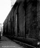 Brooklyn Museum: Visual materials [6.1.001]: 1895 survey expedition photographs.