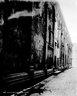 Brooklyn Museum: Visual materials [6.1.001]: 1895 survey expedition photographs.