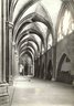 Brooklyn Museum: Visual materials [6.1.003]: 1903 survey expedition photographs.