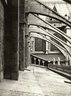 Brooklyn Museum: Visual materials [6.1.003]: 1903 survey expedition photographs.