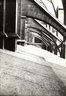 Brooklyn Museum: Visual materials [6.1.003]: 1903 survey expedition photographs.