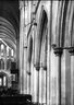 Brooklyn Museum: Visual materials [6.1.009]: 1914 survey expedition photographs.