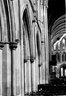 Brooklyn Museum: Visual materials [6.1.009]: 1914 survey expedition photographs.