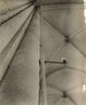 Brooklyn Museum: Visual materials [6.1.010]: survey expedition photographs.