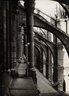 Brooklyn Museum: Visual materials [6.1.010]: survey expedition photographs.