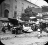 Brooklyn Museum: Visual materials [6.1.003]: 1903 survey expedition photographs.