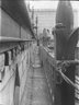 Brooklyn Museum: Visual materials [6.1.004]: 1905 survey expedition photographs.