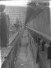 Brooklyn Museum: Visual materials [6.1.004]: 1905 survey expedition photographs.