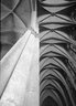 Brooklyn Museum: Visual materials [6.1.006]: 1907 survey expedition photographs.