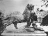 Brooklyn Museum: Visual materials [6.1.020]: Greek art.