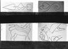 Brooklyn Museum: Visual materials [6.1.022]: Lotus.