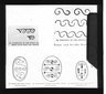 Brooklyn Museum: Visual materials [6.1.022]: Lotus.
