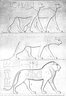 Brooklyn Museum: Visual materials [6.1.022]: Lotus.
