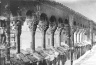 Brooklyn Museum: Visual materials [6.1.026]: Apulia.