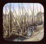 Brooklyn Museum: General views; people
