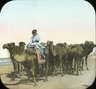 Brooklyn Museum: General views; people