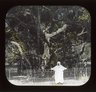 Brooklyn Museum: General views; people