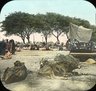 Brooklyn Museum: General views; people