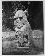 Brooklyn Museum: Collection of photographs by Alfred P. Maudslay, 1883-1890.