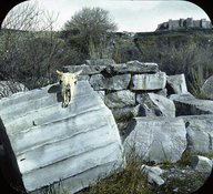 Brooklyn Museum: Visual materials [6.1.003]: 1903 survey expedition photographs.