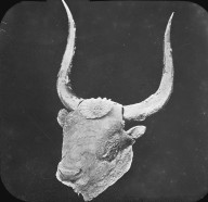 Brooklyn Museum: Visual materials [6.1.020]: Greek art.