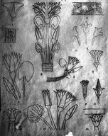 Brooklyn Museum: Visual materials [6.1.022]: Lotus.
