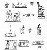 Brooklyn Museum: Visual materials [6.1.022]: Lotus.