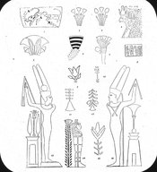 Brooklyn Museum: Visual materials [6.1.022]: Lotus.