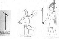 Brooklyn Museum: Visual materials [6.1.022]: Lotus.