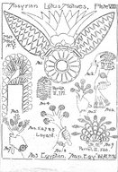 Brooklyn Museum: Visual materials [6.1.022]: Lotus.
