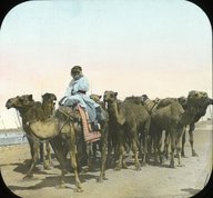 Brooklyn Museum: General views; people