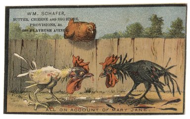 Brooklyn Museum: Scrapbook of trade cards, 1877-1894.