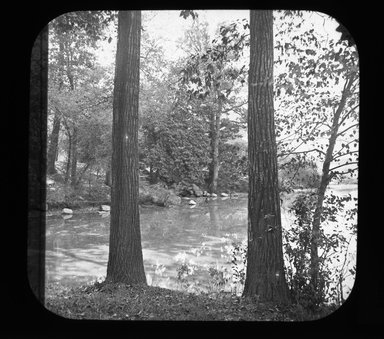 Brooklyn Museum: Brooklyn, Prospect Park